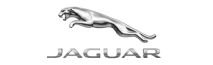 1541762980_0_jaguar-5372104b22c699eec862f886f7ba4492.png